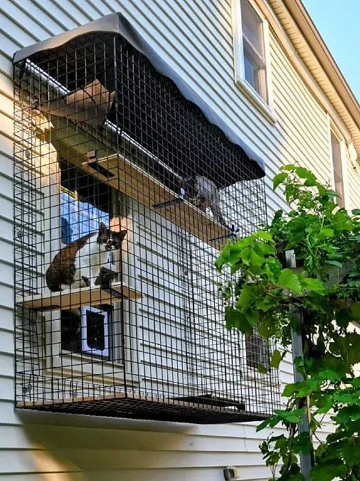A Tall Window-Box Catio
