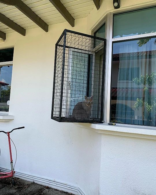 A Minimal Black-Mesh Window Catio