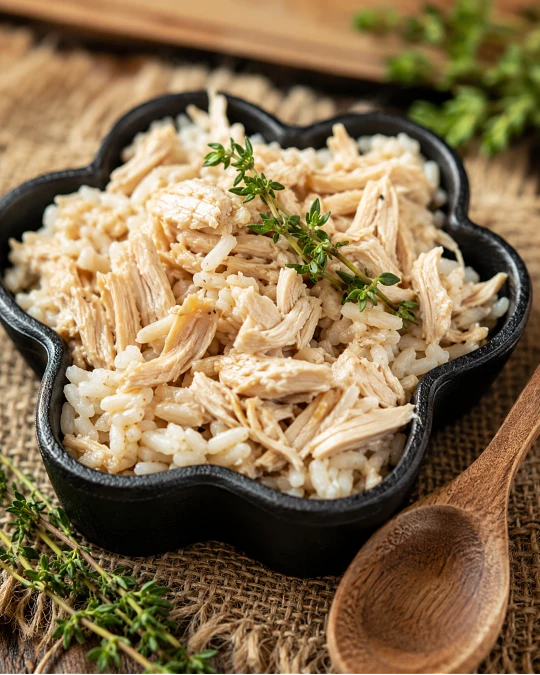 Plain Chicken and White Rice