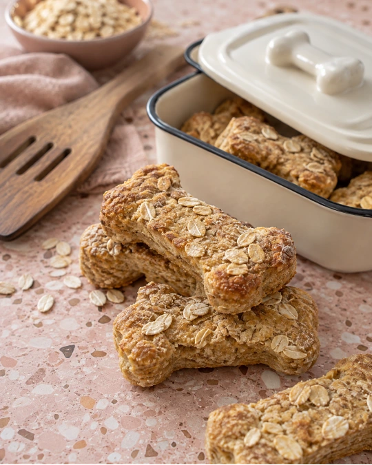 6 Homemade Dog Food Recipes Every Dog Parent Should Know 6 Egg and Oatmeal Dog Food