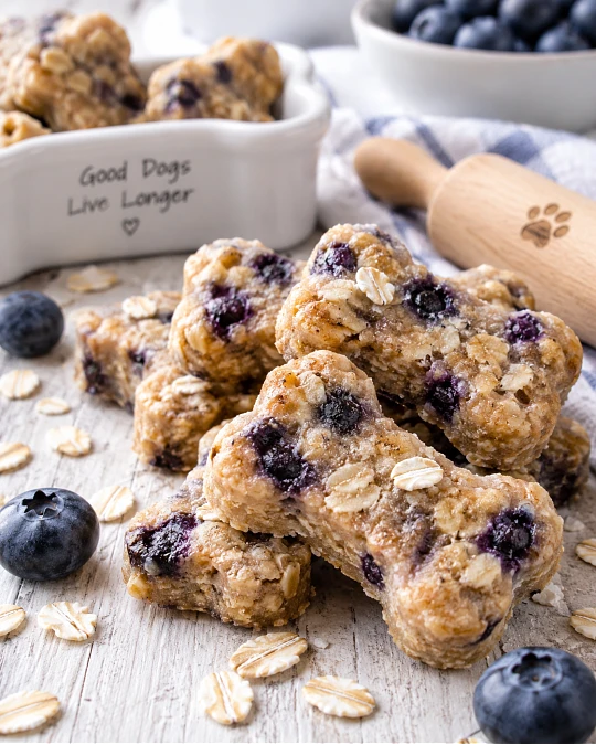 9 Healthy Homemade Soft Dog Treats Your Pup Will Love 6 Blueberry Oat Soft Dog Bites