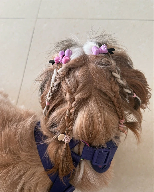 Multiple Braids With Mini Bow Clips