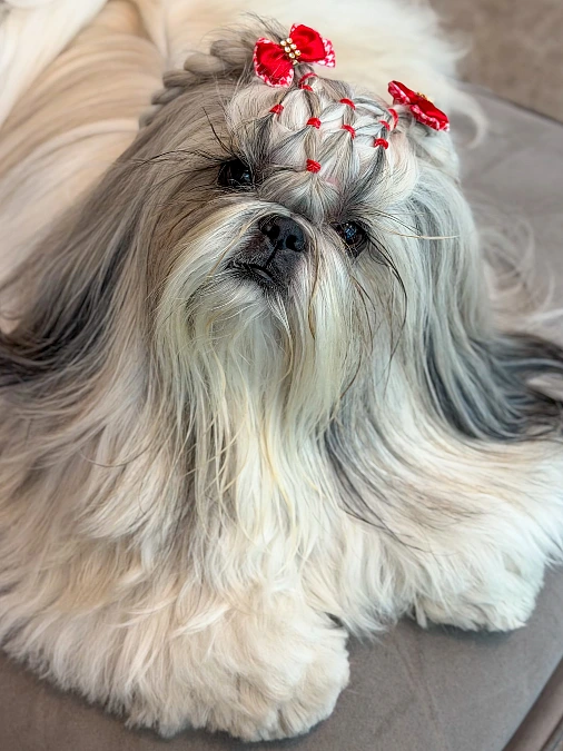 Basket-Weave Crown With Red Bows