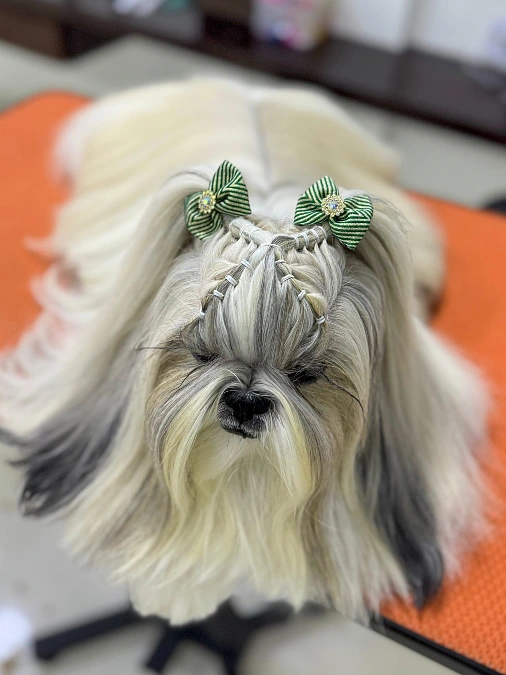 Woven Crown With Green Bow Accents