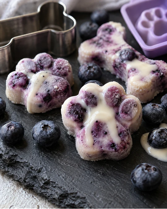 Blueberry Yogurt Frozen Dog Treats