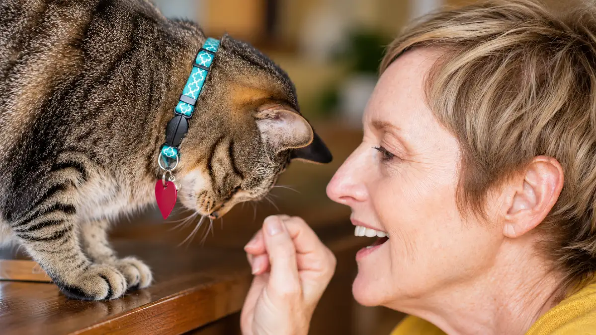 What Your Cat Really Thinks When You Talk to Them 4 What Your Cat Really Thinks When You Talk to Them