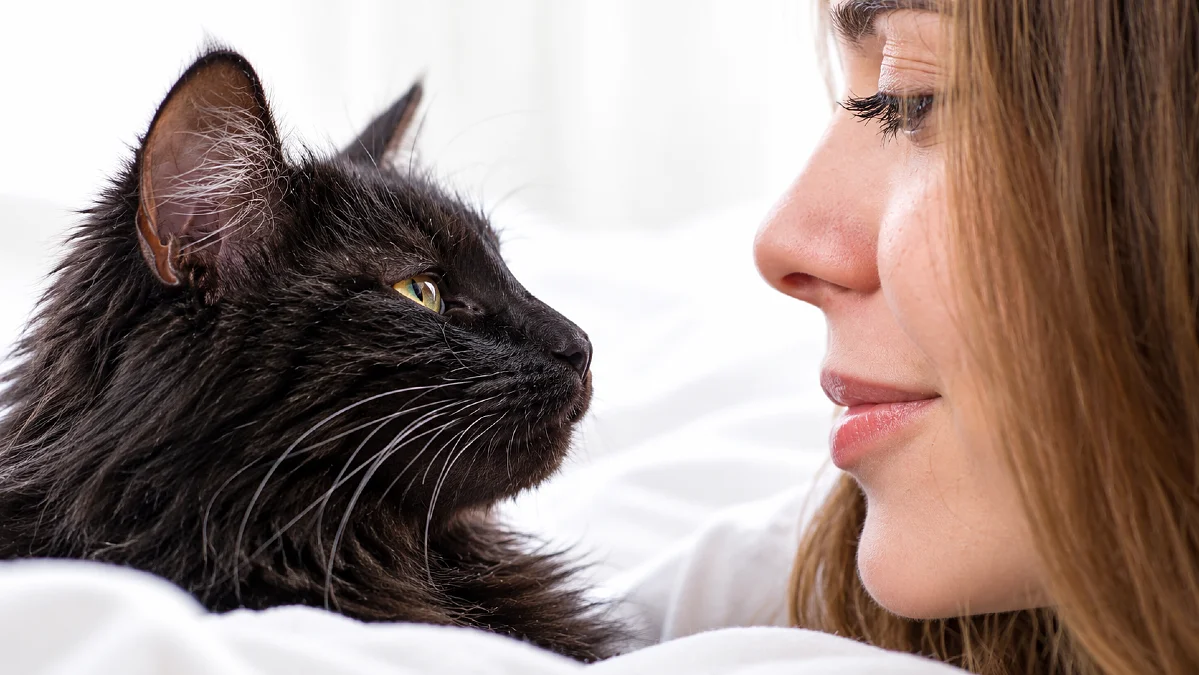 If You Start Meowing at Your Cat, THIS Will Happen - YOU NEED TO DO THIS! 3 If You Start Meowing at Your Cat, THIS Will Happen – YOU NEED TO DO THIS!